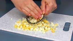 product-img-step_102_13.jpg