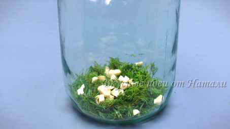 product-img-step_243_4.png