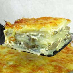 Картофельный гратен с грибами